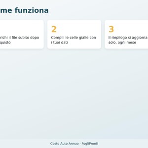 Annual Car Cost Excel in Italian | Car Expenses, Cost per Km, Fuel Consumption, Tax, Insurance, Service, Deadlines image 6
