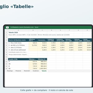 Housekeepers and Caregivers Excel in Italian | Housekeeper Payslip, 2026 INPS Contributions, Attendance Register, Vacation, Thirteenth Month, Severance Pay, Babysitters image 5