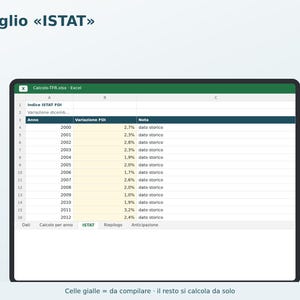 TFR Calculation in Excel in Italian | Severance Pay, ISTAT Revaluation, Separate Taxation, 70% Advance image 3