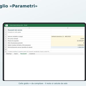 Annual Car Cost Excel in Italian | Car Expenses, Cost per Km, Fuel Consumption, Tax, Insurance, Service, Deadlines image 3