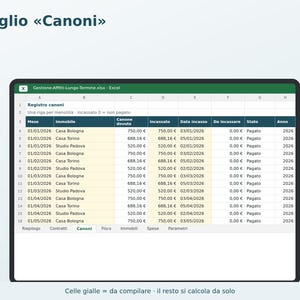 Excel Rental Management in Italian | Rent, Tenant Delinquencies, 4+4 and 3+2 Contract Expiration Dates, Flat Rate Tax, ISTAT (National Statistical Institute) image 3