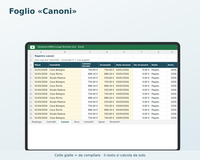 Excel Rental Management in Italian | Rent, Tenant Delinquencies, 4+4 and 3+2 Contract Expiration Dates, Flat Rate Tax, ISTAT (National Statistical Institute) image 3