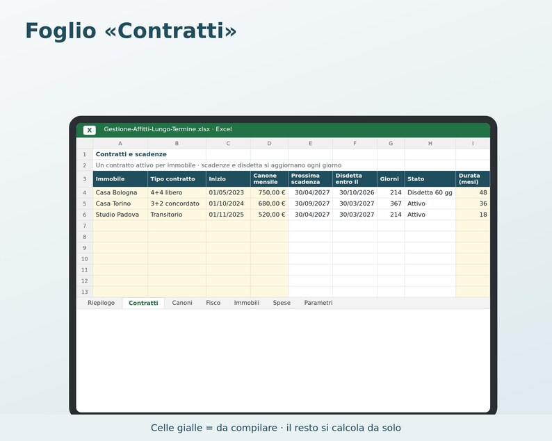 Excel Rental Management in Italian | Rent, Tenant Delinquencies, 4+4 and 3+2 Contract Expiration Dates, Flat Rate Tax, ISTAT (National Statistical Institute) image 2