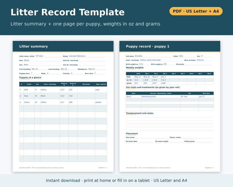 Litter Record Template Printable | Litter Record Sheet and Book for Dog Breeders, Puppy Record Pages, Dog Breeder Forms PDF image 1