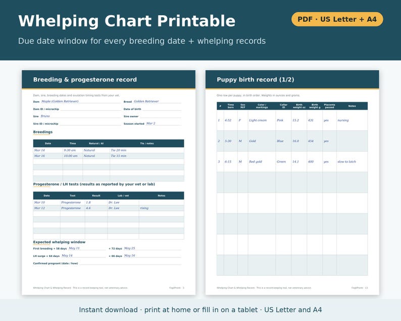Whelping Chart Printable for Dogs | Whelping Record, Due Date Calculator Tables, Puppy Birth Record, Dog Breeder Forms PDF image 1