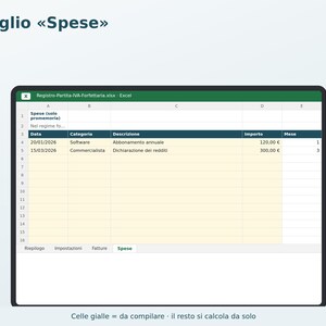 Registro del IVA a tipo fijo en Excel (en italiano) | Facturas, cobros, impuesto sustitutivo, cotizaciones al INPS, anticipos imagen 4