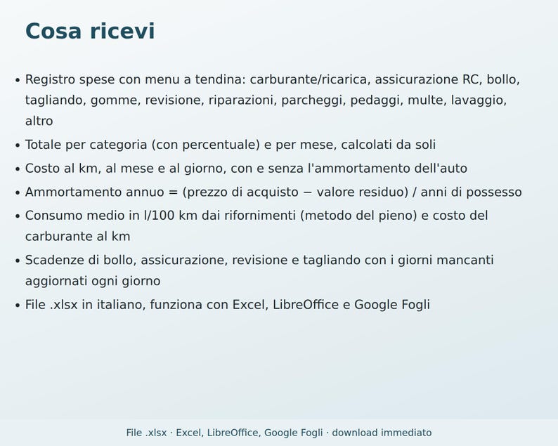 Annual Car Cost Excel in Italian | Car Expenses, Cost per Km, Fuel Consumption, Tax, Insurance, Service, Deadlines image 5