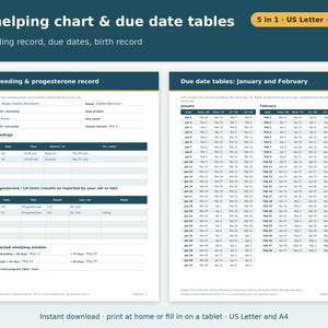 Dog Breeder Forms Bundle Printable | Whelping Chart, Puppy Weight Chart, Litter Record, Puppy Vaccination Record, Go Home Kit PDF image 2