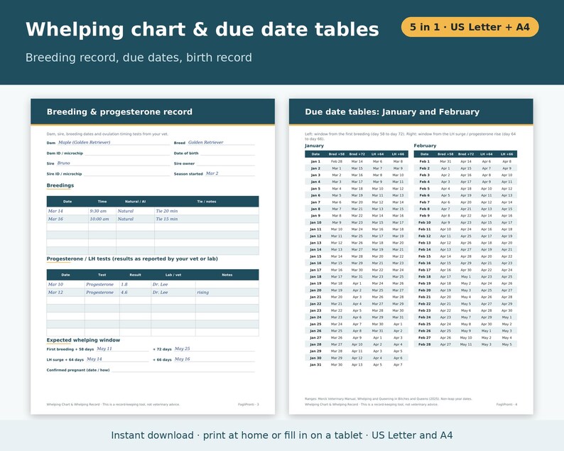 Dog Breeder Forms Bundle Printable | Whelping Chart, Puppy Weight Chart, Litter Record, Puppy Vaccination Record, Go Home Kit PDF image 2