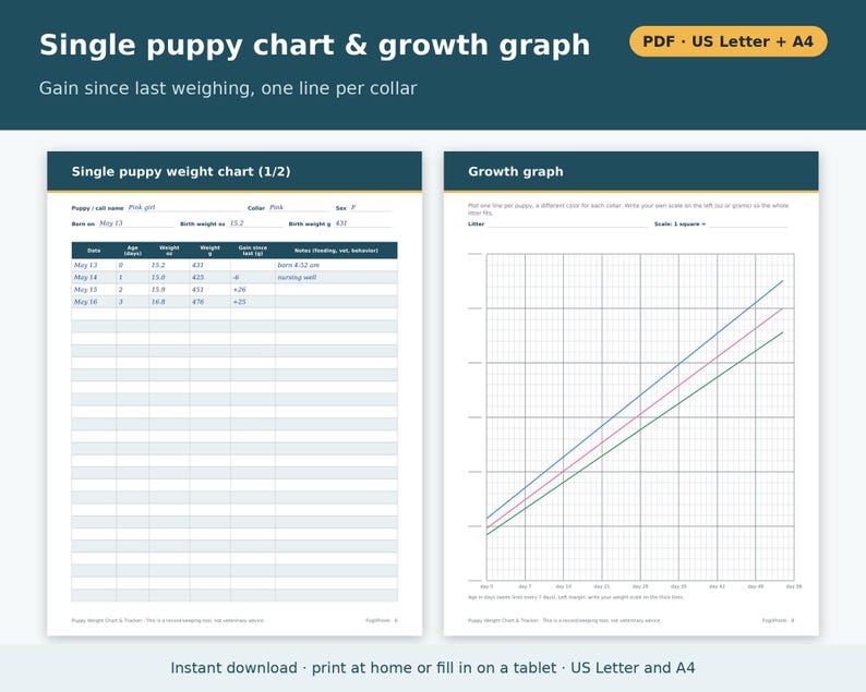 Puppy Weight Chart Printable | Puppy Weight Tracker for Litters, Daily and Weekly Log in Ounces and Grams, Dog Breeder Forms PDF image 4