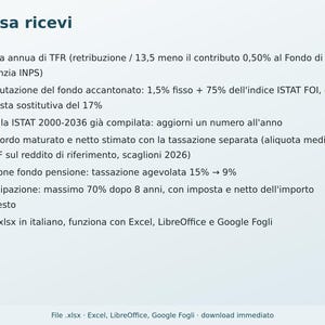 TFR Calculation in Excel in Italian | Severance Pay, ISTAT Revaluation, Separate Taxation, 70% Advance image 6