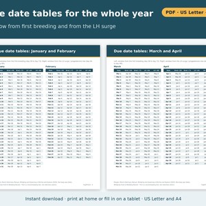 Whelping Chart Printable for Dogs | Whelping Record, Due Date Calculator Tables, Puppy Birth Record, Dog Breeder Forms PDF image 2