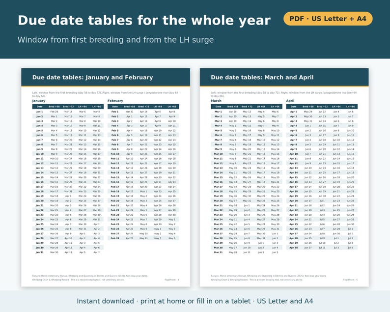 Whelping Chart Printable for Dogs | Whelping Record, Due Date Calculator Tables, Puppy Birth Record, Dog Breeder Forms PDF image 2