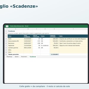 Annual Car Cost Excel in Italian | Car Expenses, Cost per Km, Fuel Consumption, Tax, Insurance, Service, Deadlines image 4