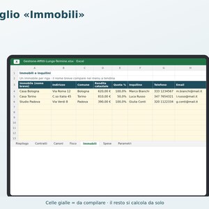 Excel Rental Management in Italian | Rent, Tenant Delinquencies, 4+4 and 3+2 Contract Expiration Dates, Flat Rate Tax, ISTAT (National Statistical Institute) image 5