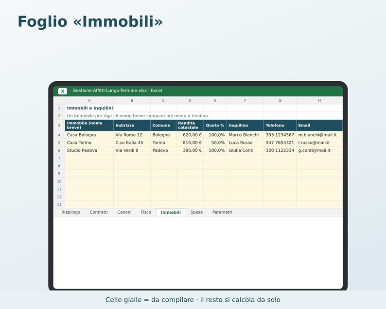 Excel Rental Management in Italian | Rent, Tenant Delinquencies, 4+4 and 3+2 Contract Expiration Dates, Flat Rate Tax, ISTAT (National Statistical Institute) image 5