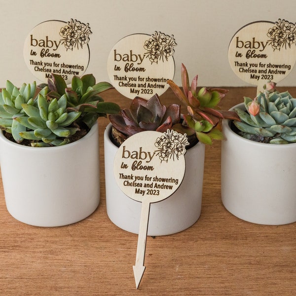 Baby in Bloom Baby Shower Favors,Wooden Plant Stakes for Baby Shower,Minimalist Custom Plant Stakes,Party Favors ,Custom Tags