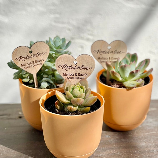 Rooted In Love Plant Tags | Heart Succulent Tag Plant Tag | Succulent Plant Tags | Baby Shower Plant Favors | Tags for gift |Baby Shower Tag