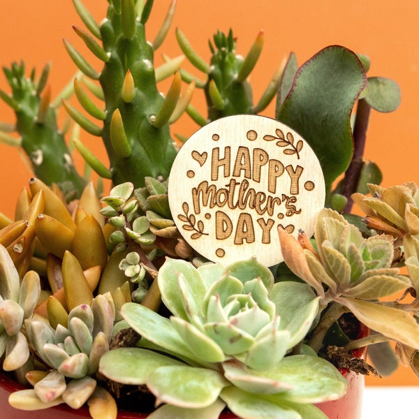 Happy Mother's Day Succulent Plant Stick Stake, Custom Mother's Day Gift Ideas, Mother's Day Plant Stake, Sister Aunt Grandma MIL Gift Ideas