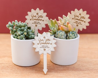 Baby Shower Favors, Personalized Our Little Sunshine Party Favors for Guest,Spring Baby Shower,First Birthday Party Favors,Custom Plant Tags