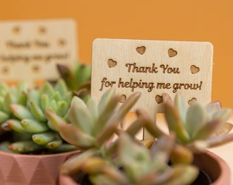 Personalized Plant Sticks: Teacher Appreciation Gift, Custom Wooden Plant Tags