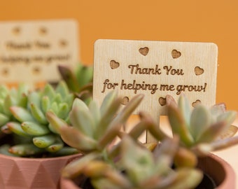 Thank You for Helping Me Grow Plant Sticks, Teacher Appreciation Gift Ideas, Custom Gift Ideas for Teachers, Personalized Plant Tags Sticks