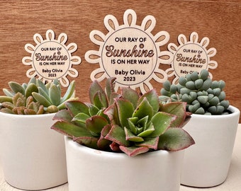 Baby Shower Favors Our Ray of Sunshine Plant Sticks for Guest Favors,Boho Ray of Sunshine Guest Party Favors, Sunshine Plant Tags,Thank Yous