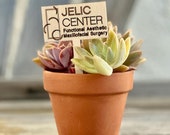 Free Christmas Party Questionnaire Template Etsy