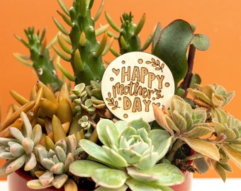 Happy Mother's Day Succulent Plant Stick Stake, Custom Mother's Day Gift Ideas, Mother's Day Plant Stake, Sister Aunt Grandma MIL Gift Ideas