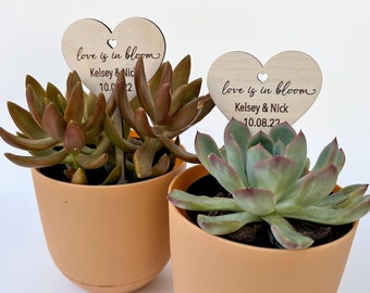 Love Is In Bloom Succulent Tags | Bridal Shower Favors | Succulent Tags | Wooden Plant Tags Love Is In Bloom Favor Tags | Love Plant Tags |