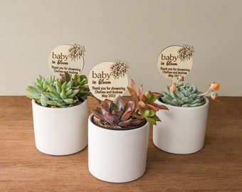 Baby in Bloom Baby Shower Favors,Succulent Tags for Baby Shower Favors, Personalized Baby Favors-Boy Girl Baby Shower Favors