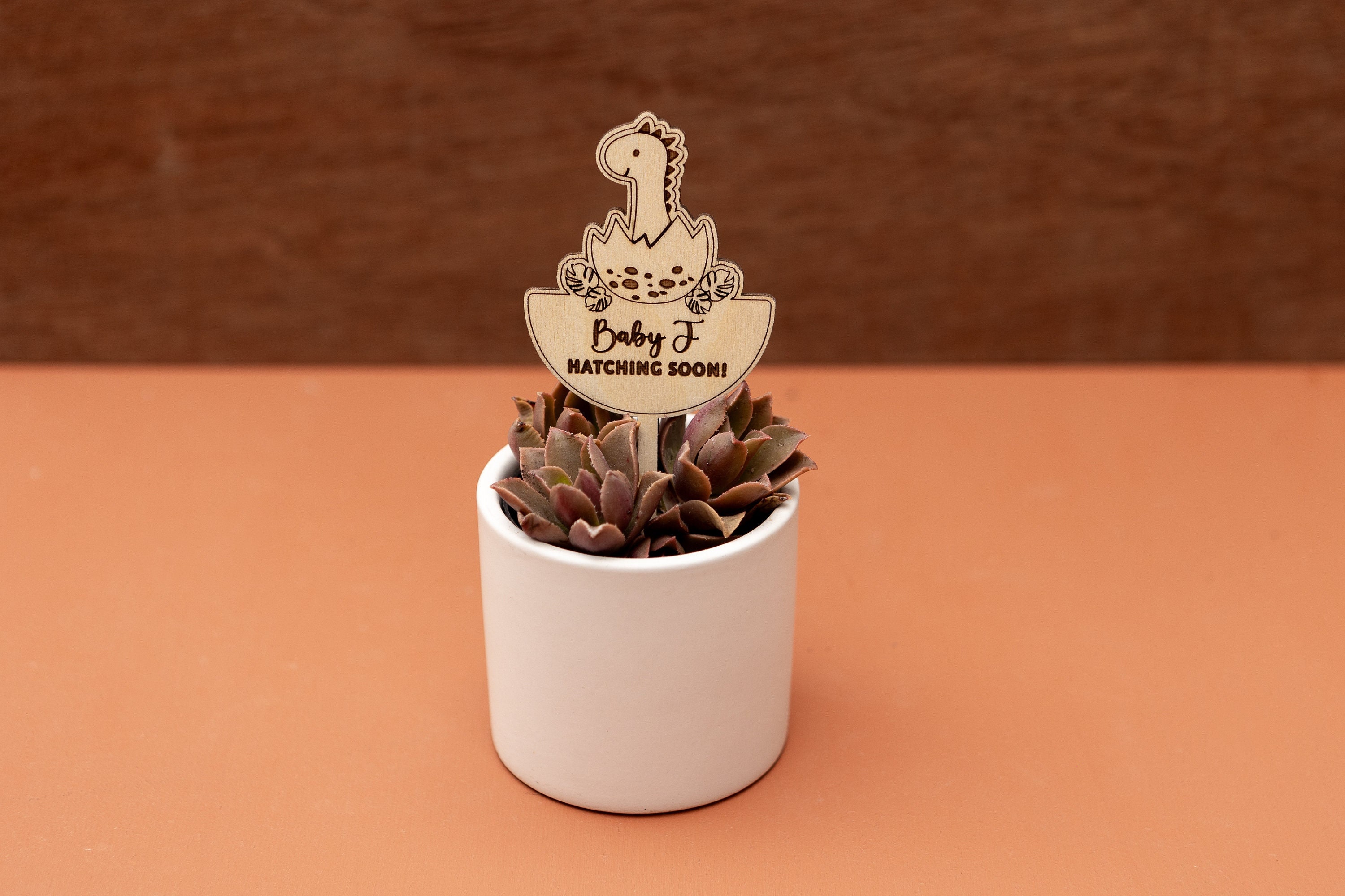 Hatching Soon Dinosaur Baby Shower Favor: Laser Engraved Plant Stick