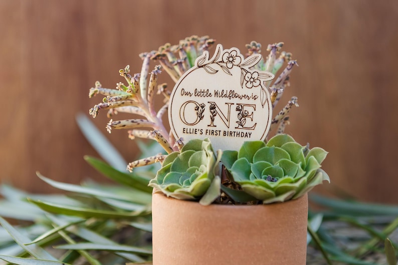 May include: A wooden sign with the text "Our little Wildflower is ONE Ellie's First Birthday" in a circle with floral designs. The sign is placed in a pot with a succulent plant.