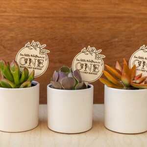 May include: Three small white pots with succulents and wooden signs that say "Our little wildflower is one Ellie's first birthday" and "Our little wildflower is one It's first birthday".