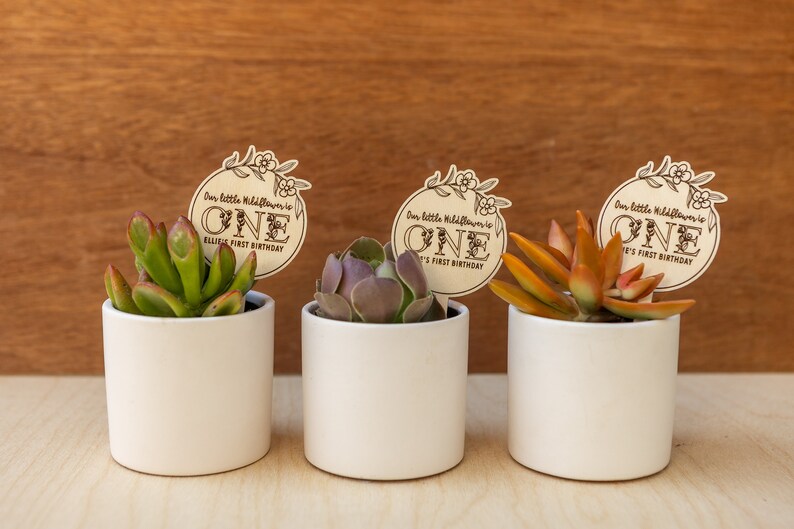 May include: Three small white pots with succulents and wooden signs that say "Our little wildflower is one Ellie's first birthday" and "Our little wildflower is one It's first birthday".