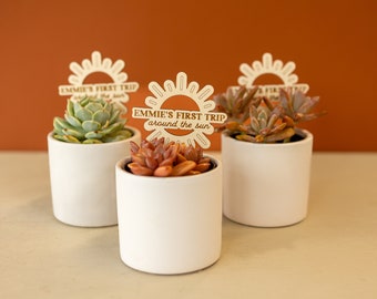 Custom Wooden Plant Stick: First Trip Around the Sun Party Favor