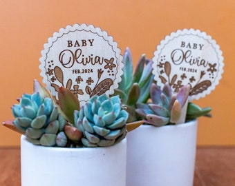 Baby Shower Favors, Party Favors for Guests,Spring Baby Shower,Custom Boho Plant Sticks Favors,First Birthday Favors,Custom Plant Tags