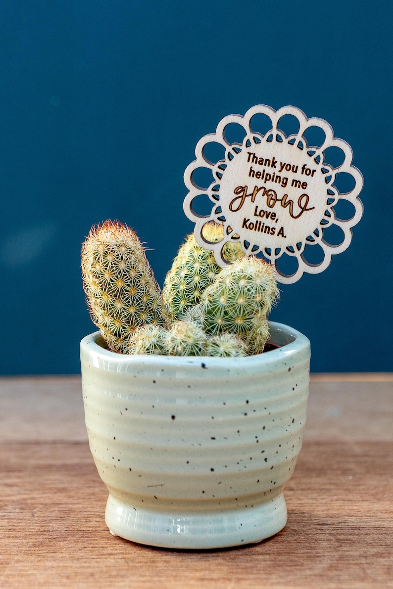 May include: A small cactus plant in a white ceramic pot with a wooden sign that says "Thank you for helping me grow, Love, Kollins A."