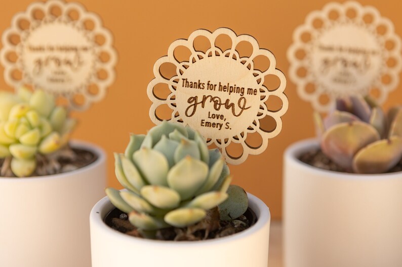 May include: Three small white pots with succulents and wooden signs that say "Thanks for helping me grow, Love, Emery S."