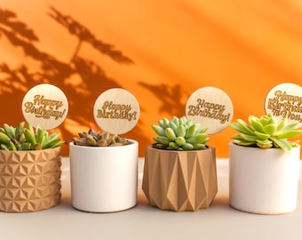 Wooden Retro Happy Birthday Plant Markers for Succulents, Set of 4 Retro Happy Birthday Plant Sticks, Custom Plant Sticks for Birthdays