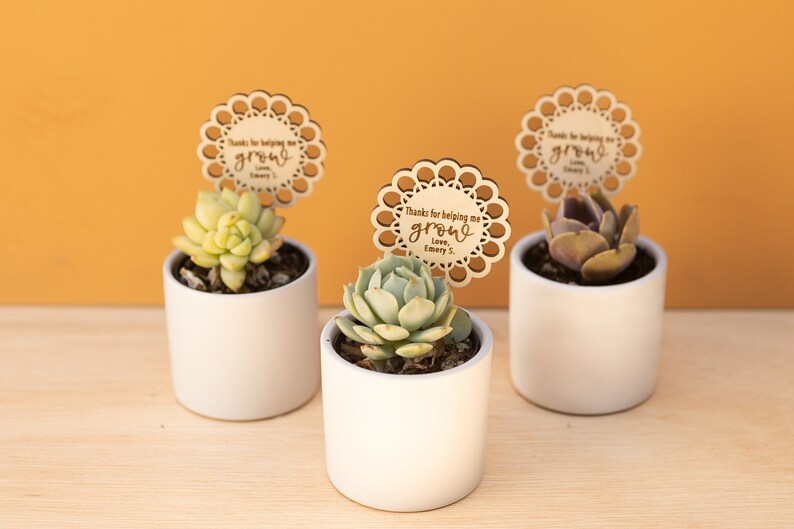 May include: Three small white pots with succulents and wooden tags that say "Thanks for helping me grow, Love, Emery S."