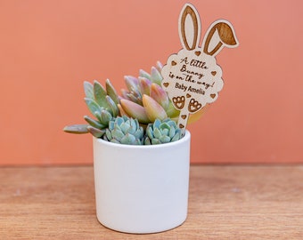 Baby Shower Spring Favors,A little Bunny is on the Way Baby Shower, Bunny Favors for Guests,Plant Sticks Favors,First Birthday Favors,Tags