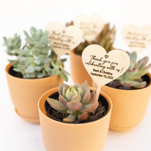 May include: Succulent plants in small orange pots with wooden heart-shaped tags that say "Thank you for celebrating with us! Nezir & Christina September 10, 2022"