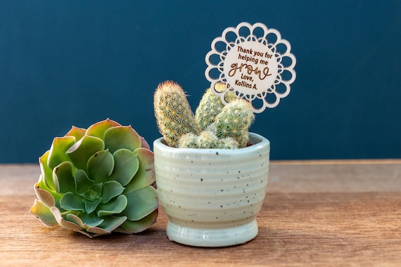 Personalized Plant Stick: Teacher Appreciation Gift, Custom Wooden Tag