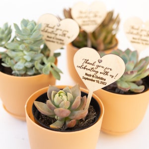 Personalized Wedding Plant Tag: Heart Wood Succulent Favor image 2