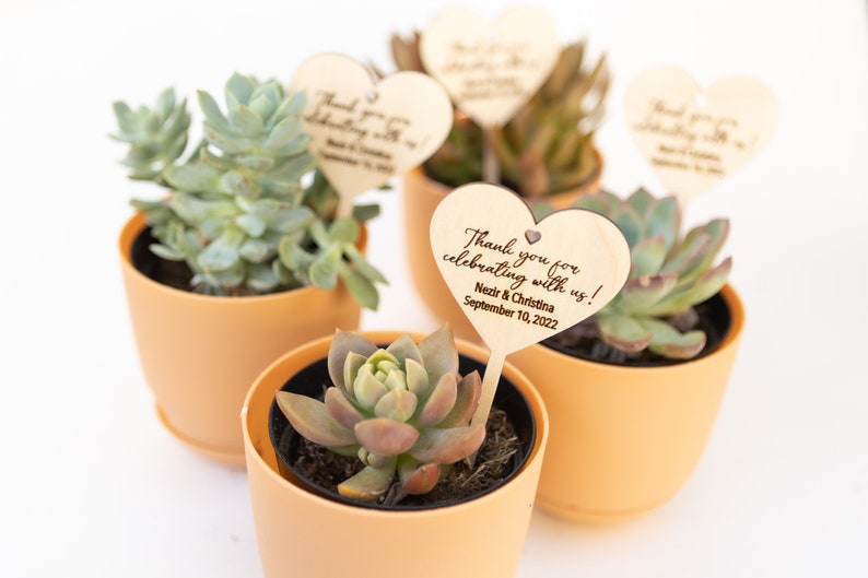Personalized Wedding Plant Tag: Heart Wood Succulent Favor image 2