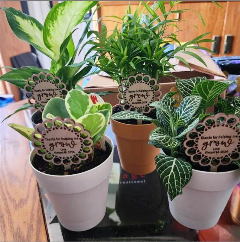 May include: Three potted plants with wooden tags that say "Thanks for helping me grow" with a heart and the date "Vincent M. 2024".