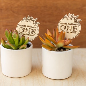 May include: Two small white pots with succulents, each with a wooden sign that says "Our little Wildflower is ONE Ellie's First Birthday"