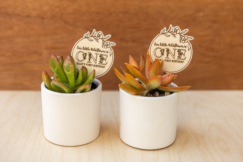 May include: Two small white pots with succulents, each with a wooden sign that says "Our little Wildflower is ONE Ellie's First Birthday"