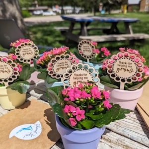 May include: A set of small potted plants with pink flowers and wooden tags that say "Thanks for helping me grow".